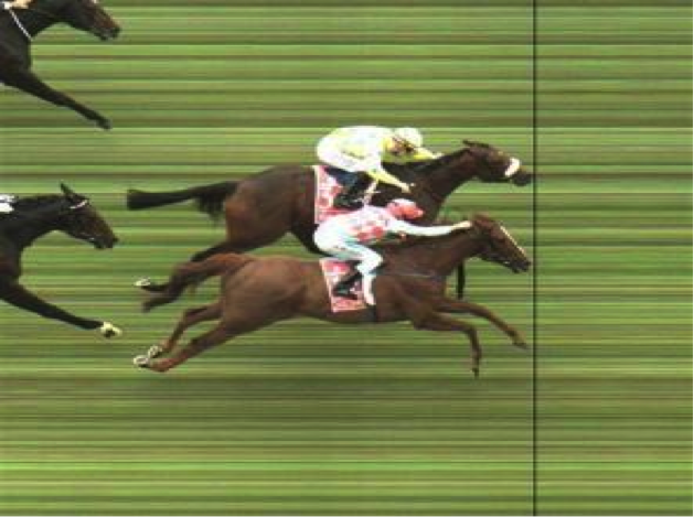 Melborune Cup photo finish