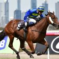Jameka is amongst the 2016 Caulfield Cup betting field this Saturday.