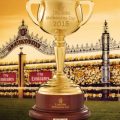 The 2016 Melbourne Cup betting opportunities are there, but read our analysis before making a bet.