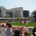 Japan's Mile Championship offers some value bets, and Betcirca looks at the opportunities.