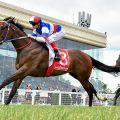 Betcirca delivers the inside scoop on the best BLue Diamond Stakes bets.